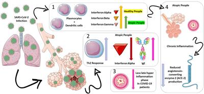 Profile of coronavirus disease enlightened asthma as a protective factor against death: An epidemiology study from Brazil during the pandemic